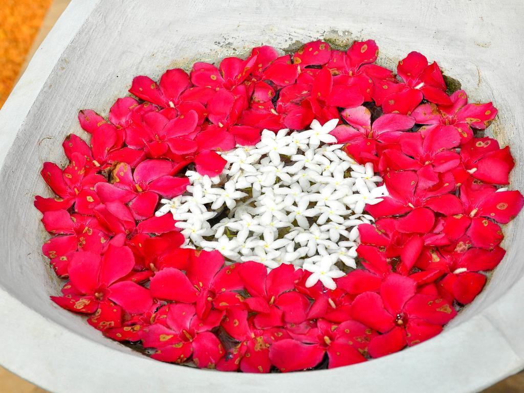Rockery Villa Ayurveda Bentota Bagian luar foto