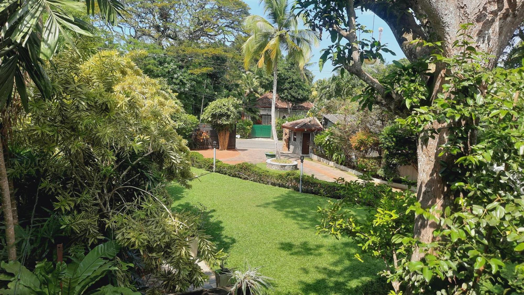 Rockery Villa Ayurveda Bentota Bagian luar foto