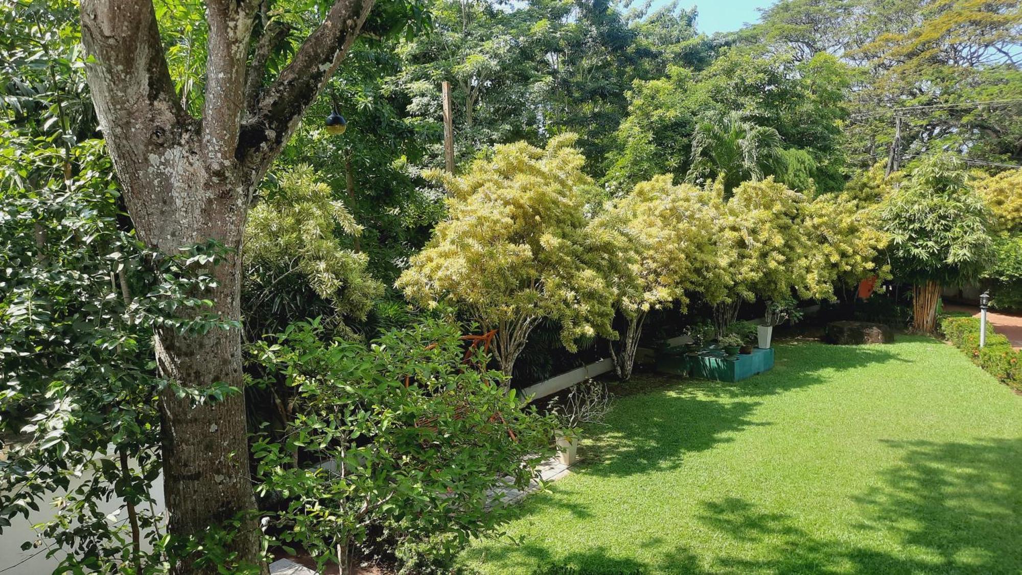 Rockery Villa Ayurveda Bentota Bagian luar foto