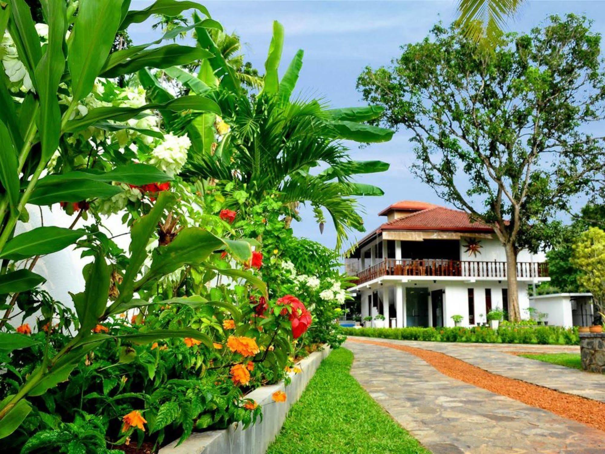 Rockery Villa Ayurveda Bentota Bagian luar foto